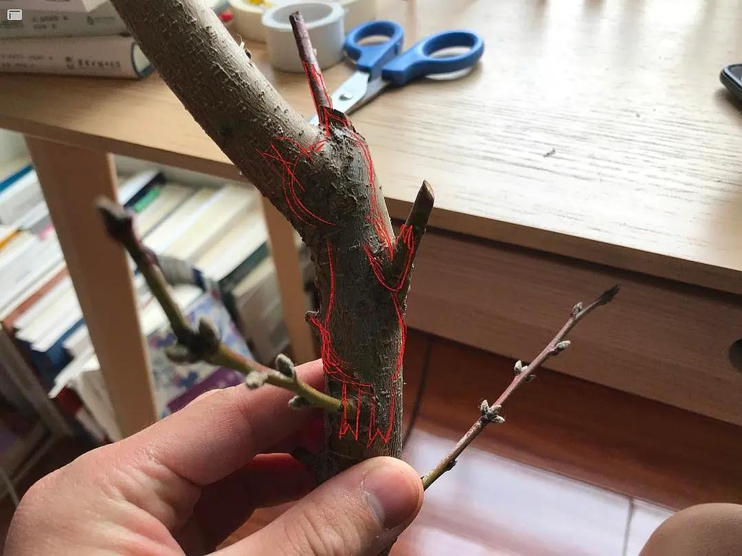 入木三分真功夫,入木三分让我懂得了什么