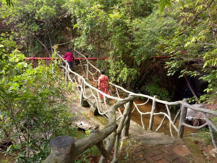 叮当猫还玩81式吗,叮当猫还玩率土之滨吗