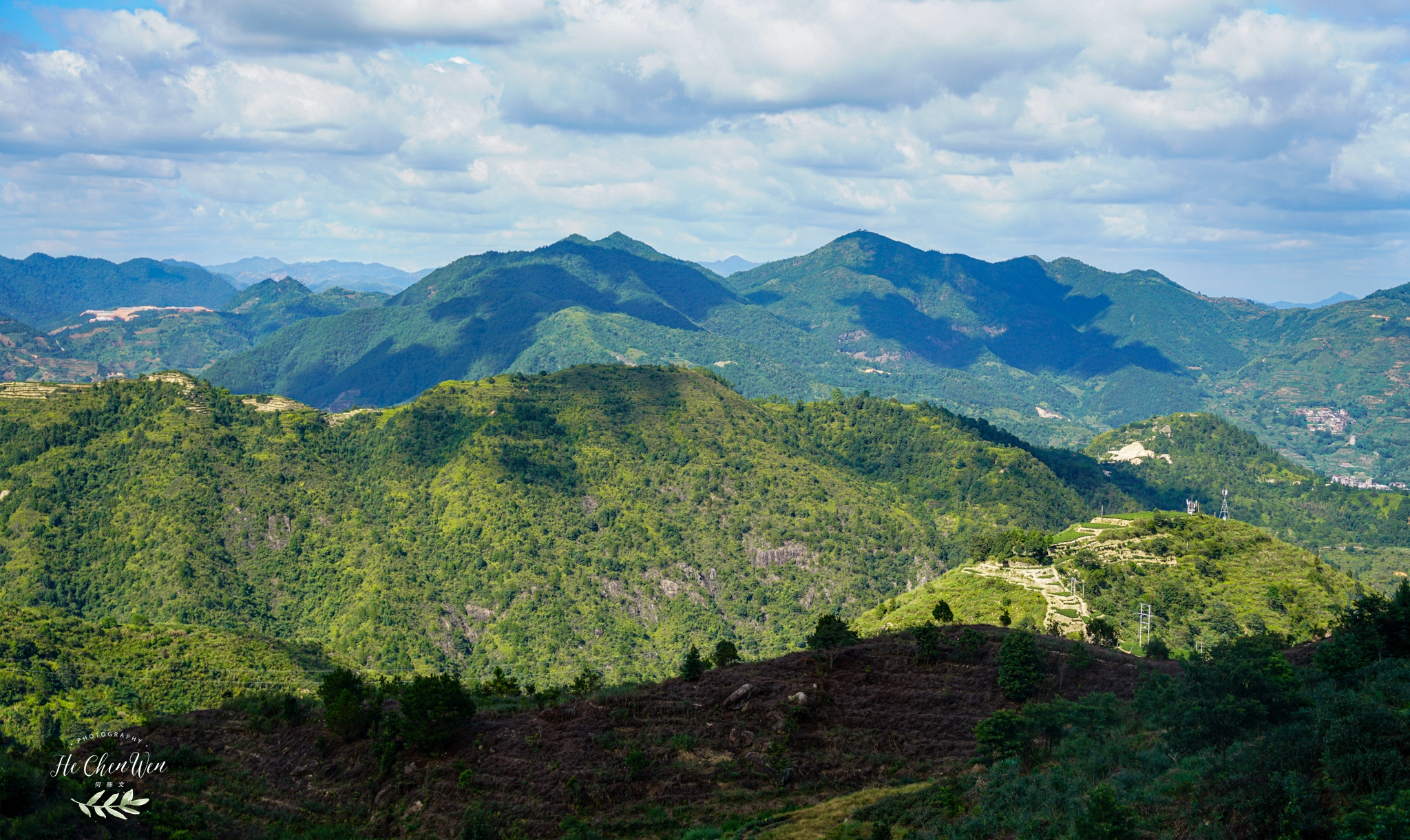 中国十大品牌铁观音茶叶,铁观音福建中国十大名茶