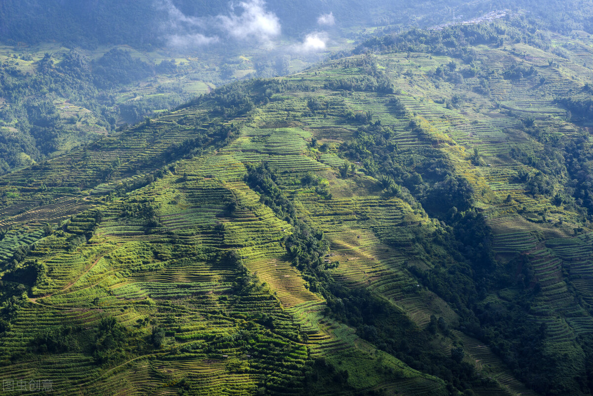 离婚女人的悲情,离婚女人心酸的哭声