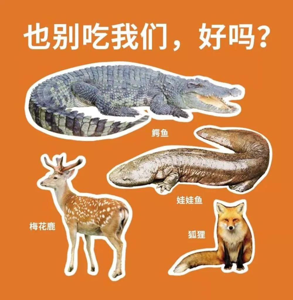 拒绝野味的动物有哪几种,哪些动物属于野味