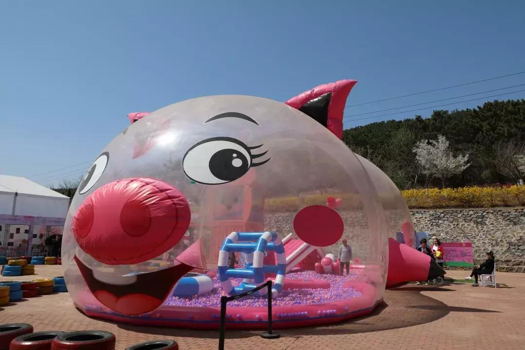 一起去旅顺赏樱花,旅顺樱花节美景