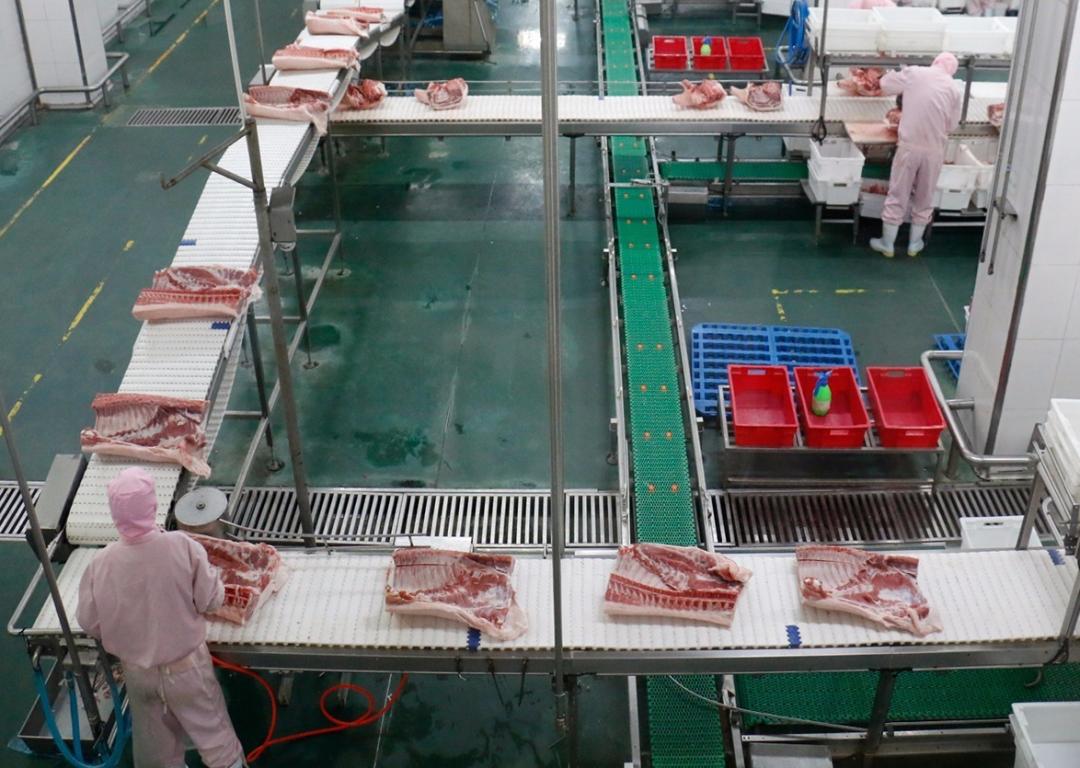 美国人杀猪真的不放血吗,为什么美国猪肉卖得如此便宜