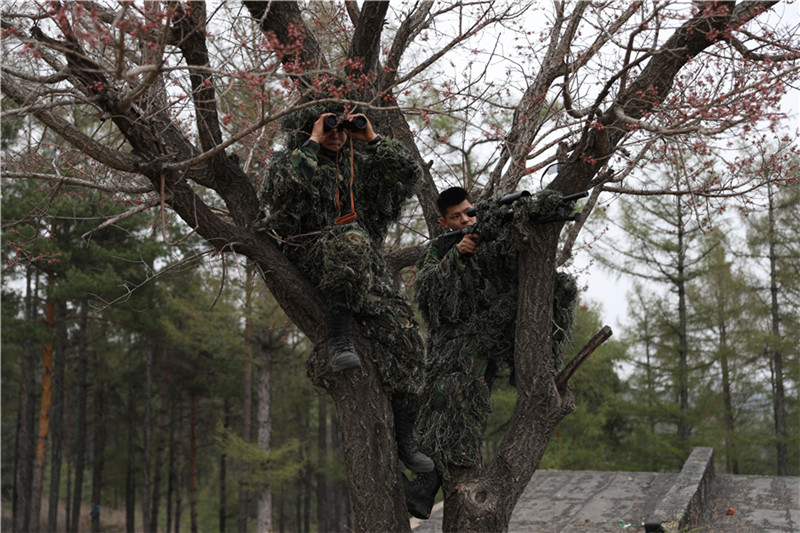 群众性练兵比武武警,群众性军事大练兵