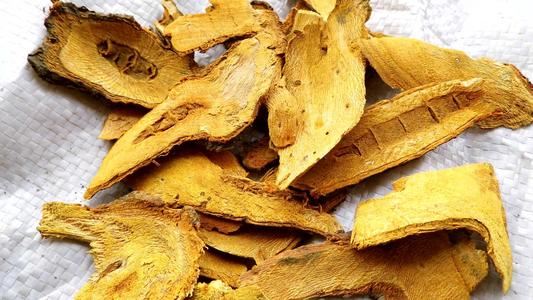 中药虎杖的功效与作用脾胃虚弱,虎杖降血脂的中药