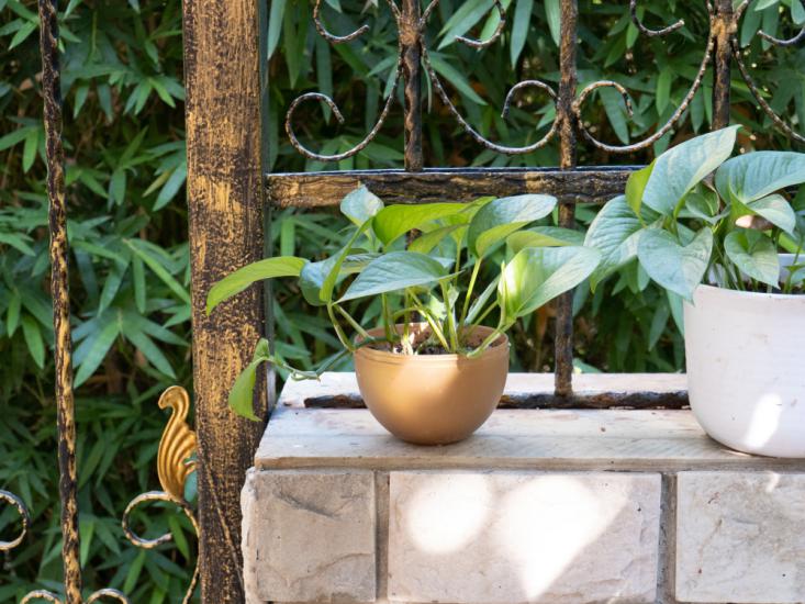 松下g95能拍什么视频,松下g95拍视频配什么镜头