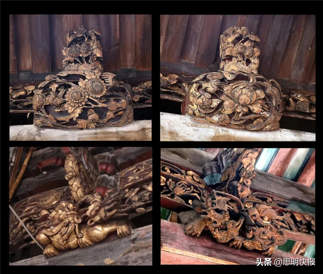 每一张照片都值得珍藏与回忆,每一张都值得纪念和珍藏