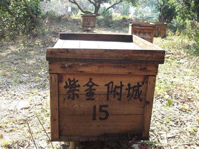 土养中蜂蜂箱新发明,老蜂农蜂箱