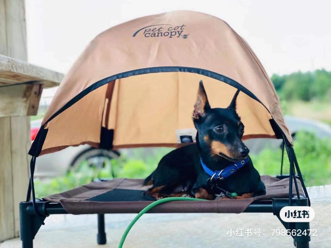 精致露营市场会一直火下去吗,露营热成就户外经济新消费风口