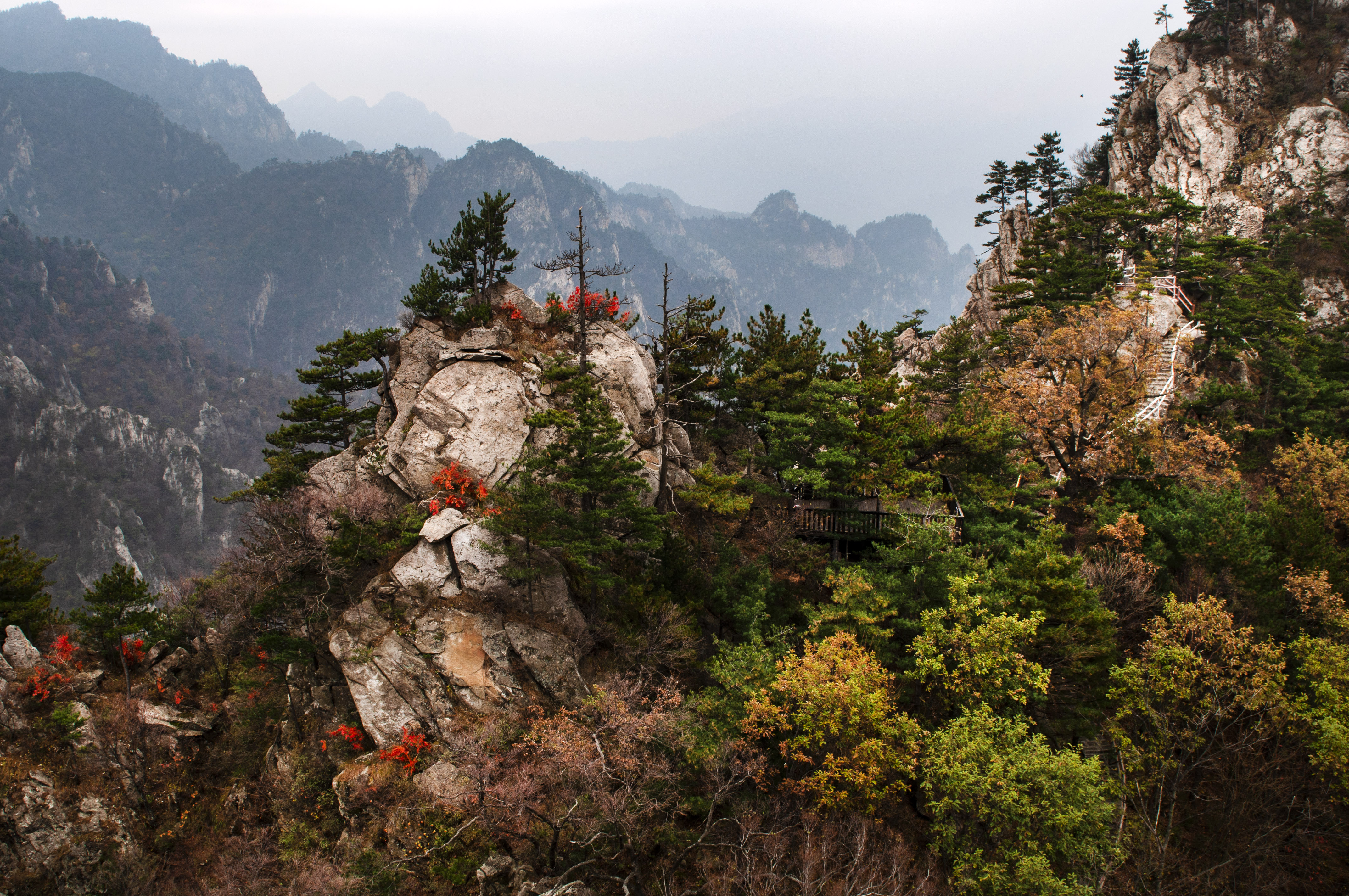老界岭夏日风景,深秋山里的风景