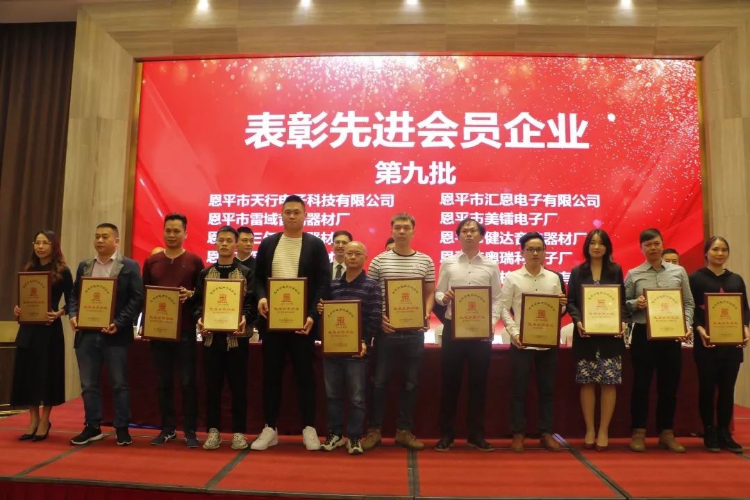 恩平电声行业协会成员,恩平协会