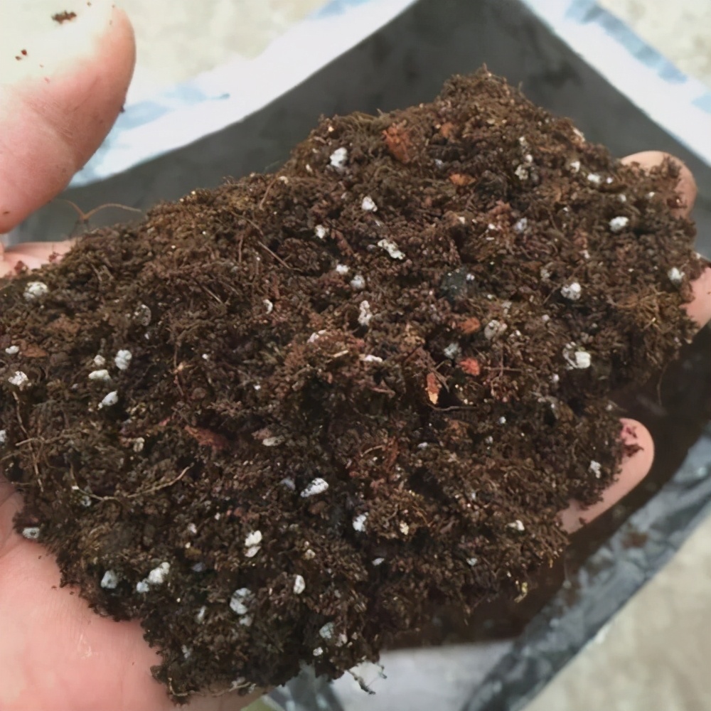 养花土壤反碱怎么处理好,养花土是碱性如何解决