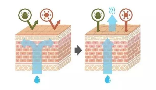 干性皮肤怎样补水抗衰老,秋冬皮肤干燥起皮补水推荐