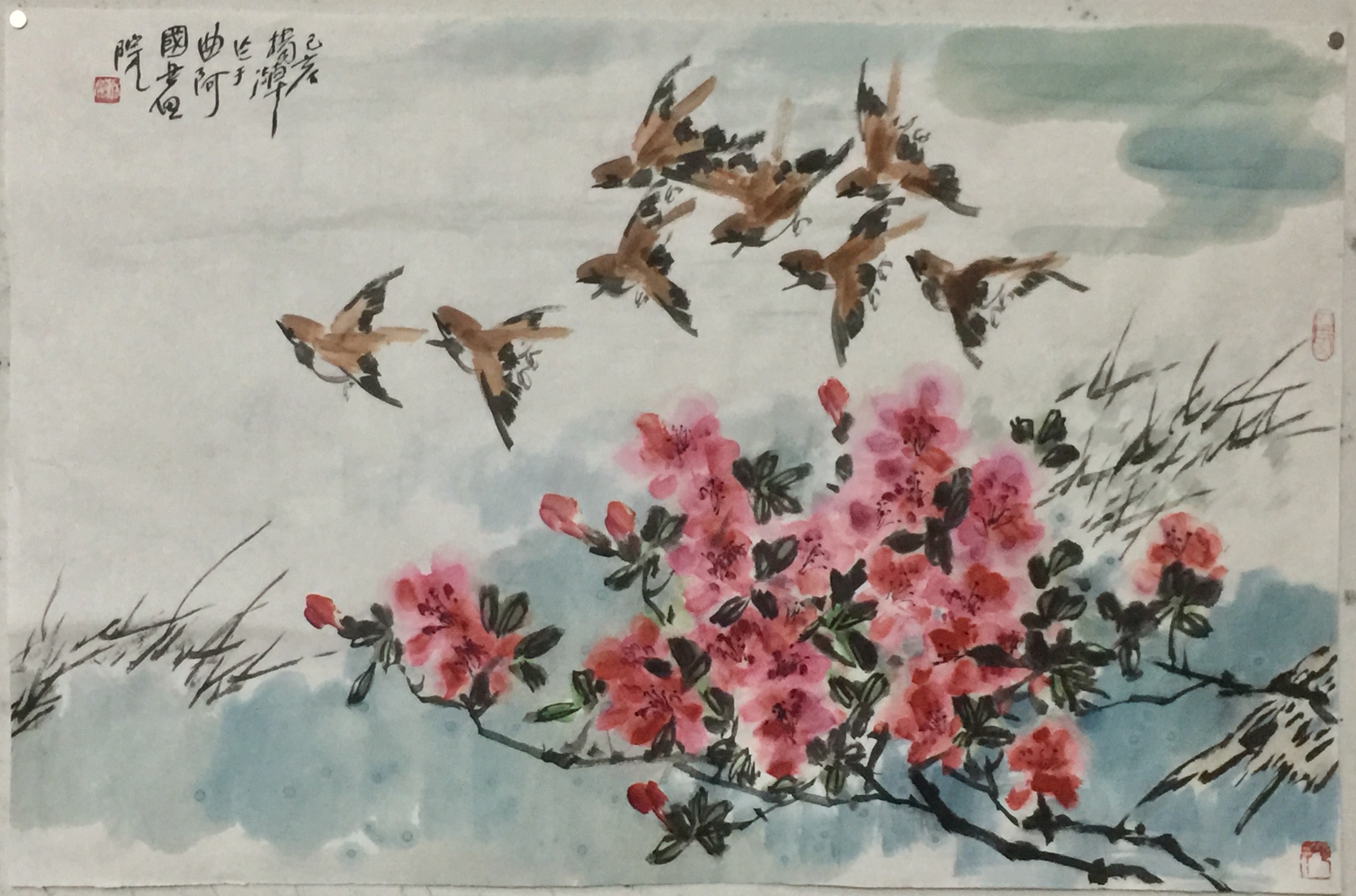 深圳之行（文/李淑华　 图片、视频/李淑华）