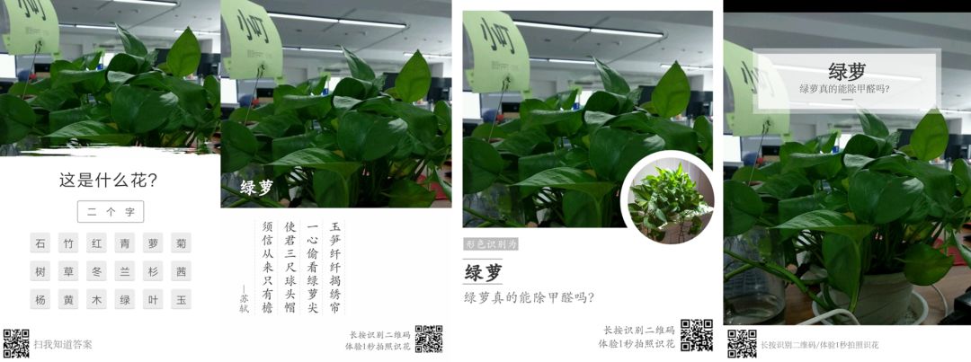 自带的扫一扫功能在哪,微信扫一扫的隐藏功能