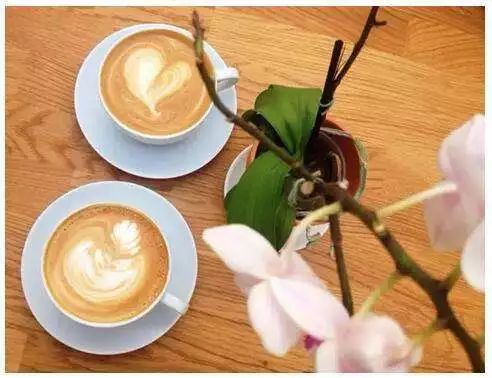 开一家咖啡馆的经营模式,开一家咖啡馆需要怎么创业