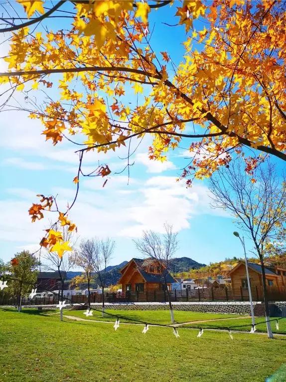 北京露营适合带孩子去的地方,北京亲子游必打卡的地方有哪些