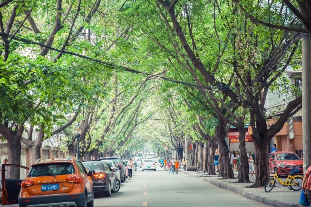 成都最有潜力的花园,成都是个大花园