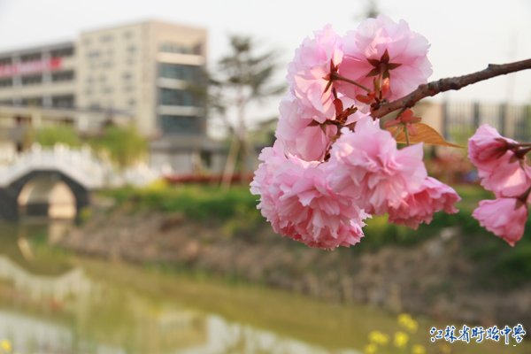 江苏省盱眙中学杨怀峰,江苏省盱眙中学食堂
