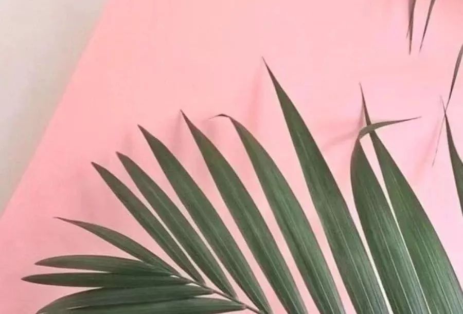 坐上闺蜜的奔驰车,闺蜜的玛莎拉蒂