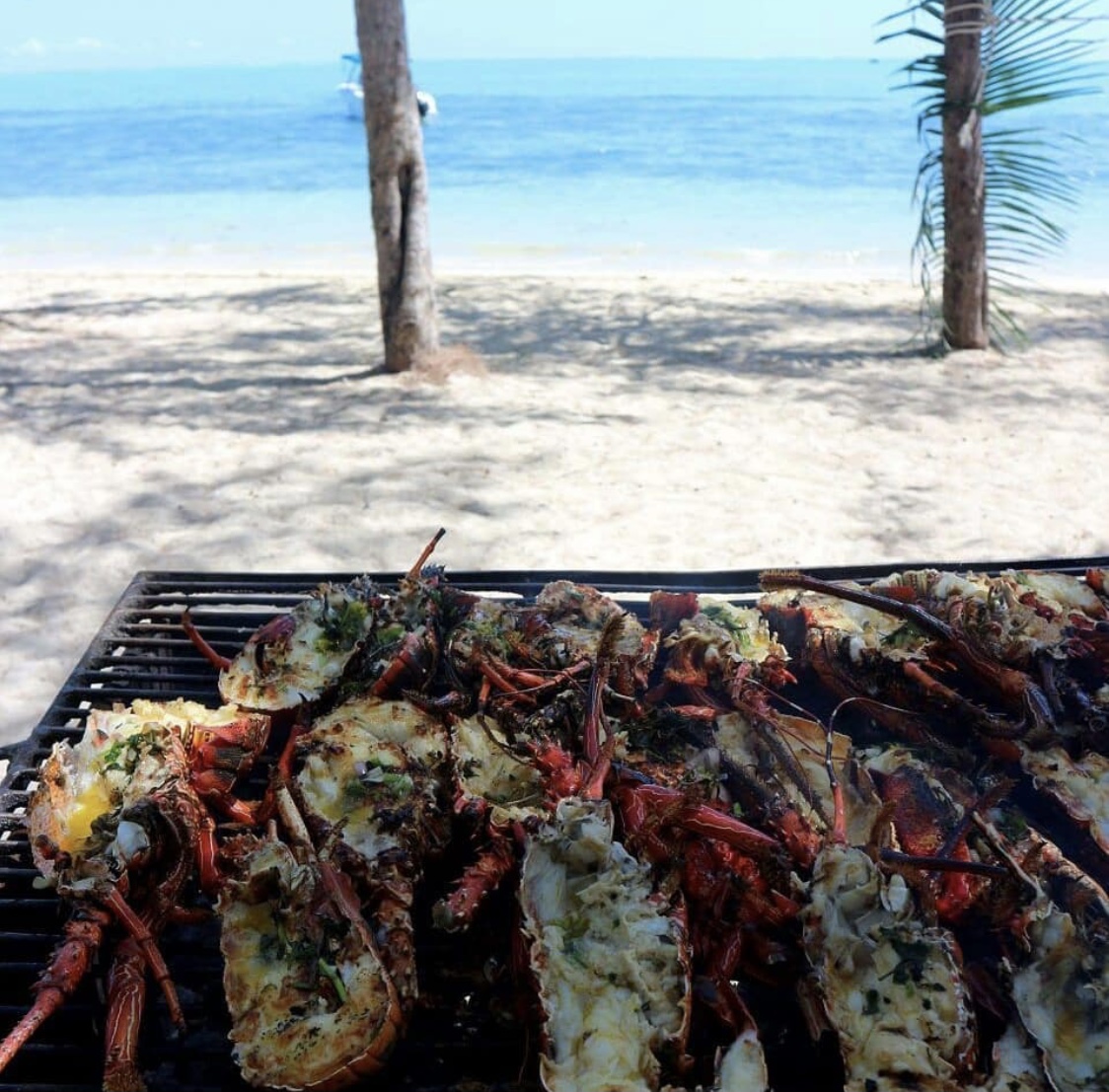 毛里求斯旅游攻略自由行,毛里求斯自由行攻略