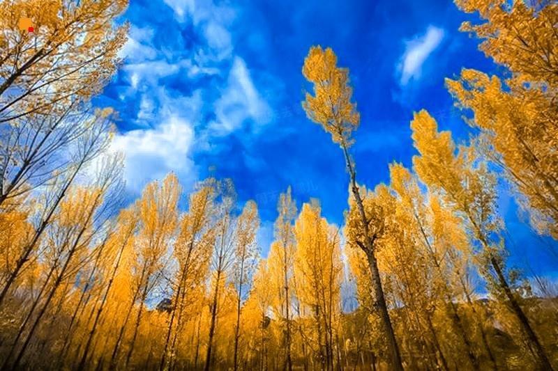 北京赏秋十大打卡地,北京赏秋