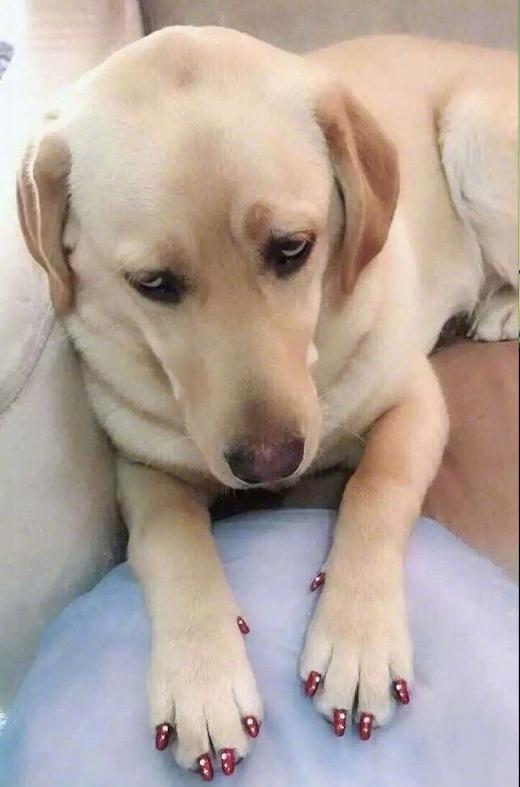 “你们女孩子脱完鞋都这样的嘛?”哈哈哈没想到拖鞋也是一门技术