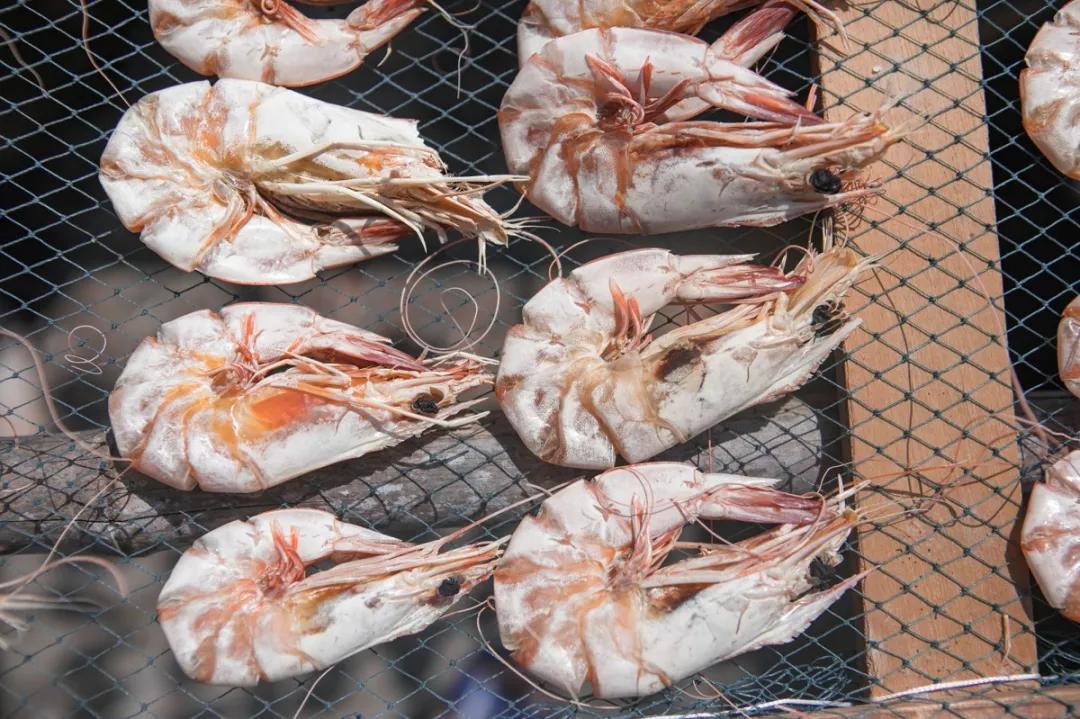 补肾健脾固精的海产品都有哪些呢,温肾固精的食物有哪几种