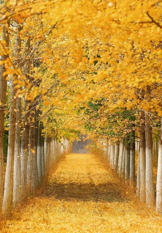 辽宁省有个小城市,辽宁最有魅力的小城