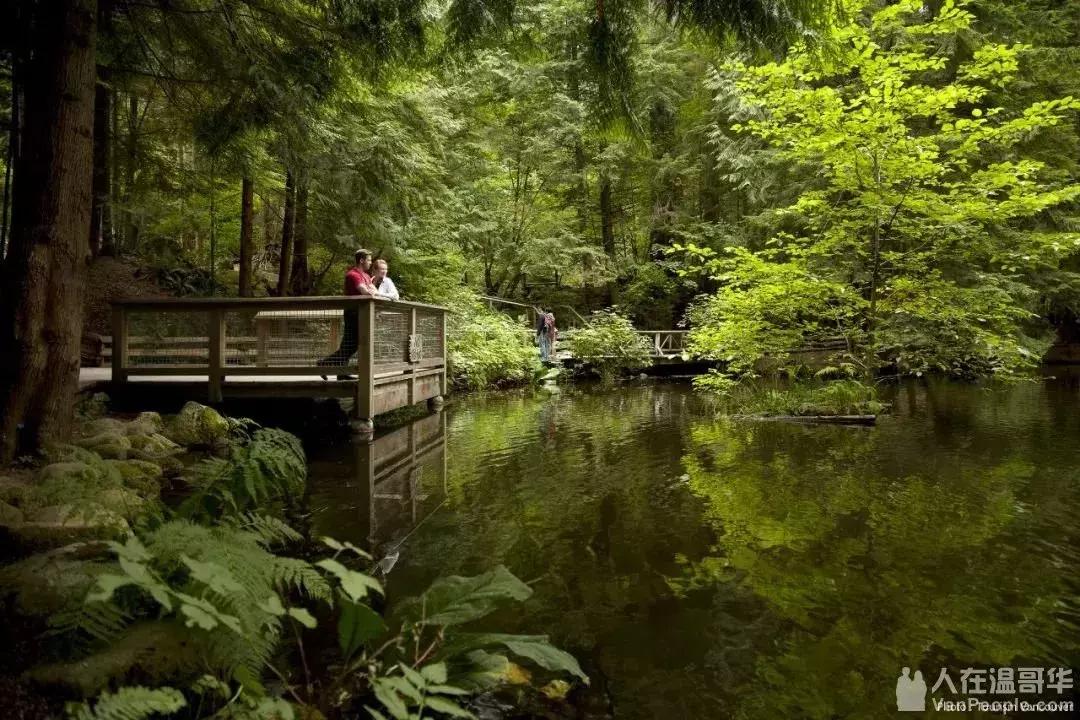 温哥华，超出你期待的钓鱼圣地