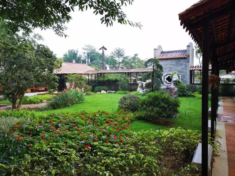 西塘古镇民宿排行榜,这里的民宿堪称世外桃源