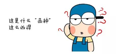 这部电影豆瓣评分8.8，据说是下一个《哪吒》