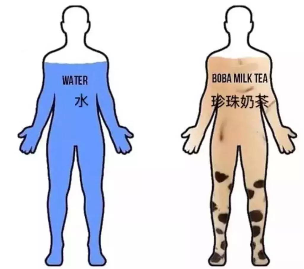 江苏三江学院,江苏三江学院录取分数线