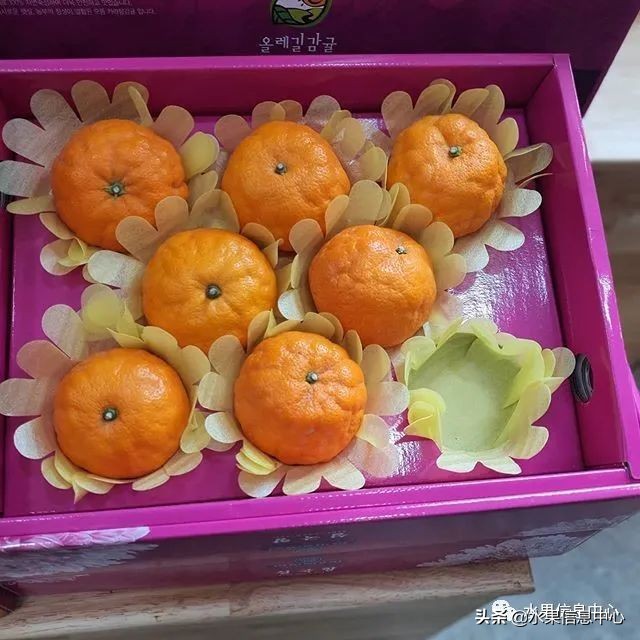 如何做水果电商创业项目,电商水果运营自学全套教程