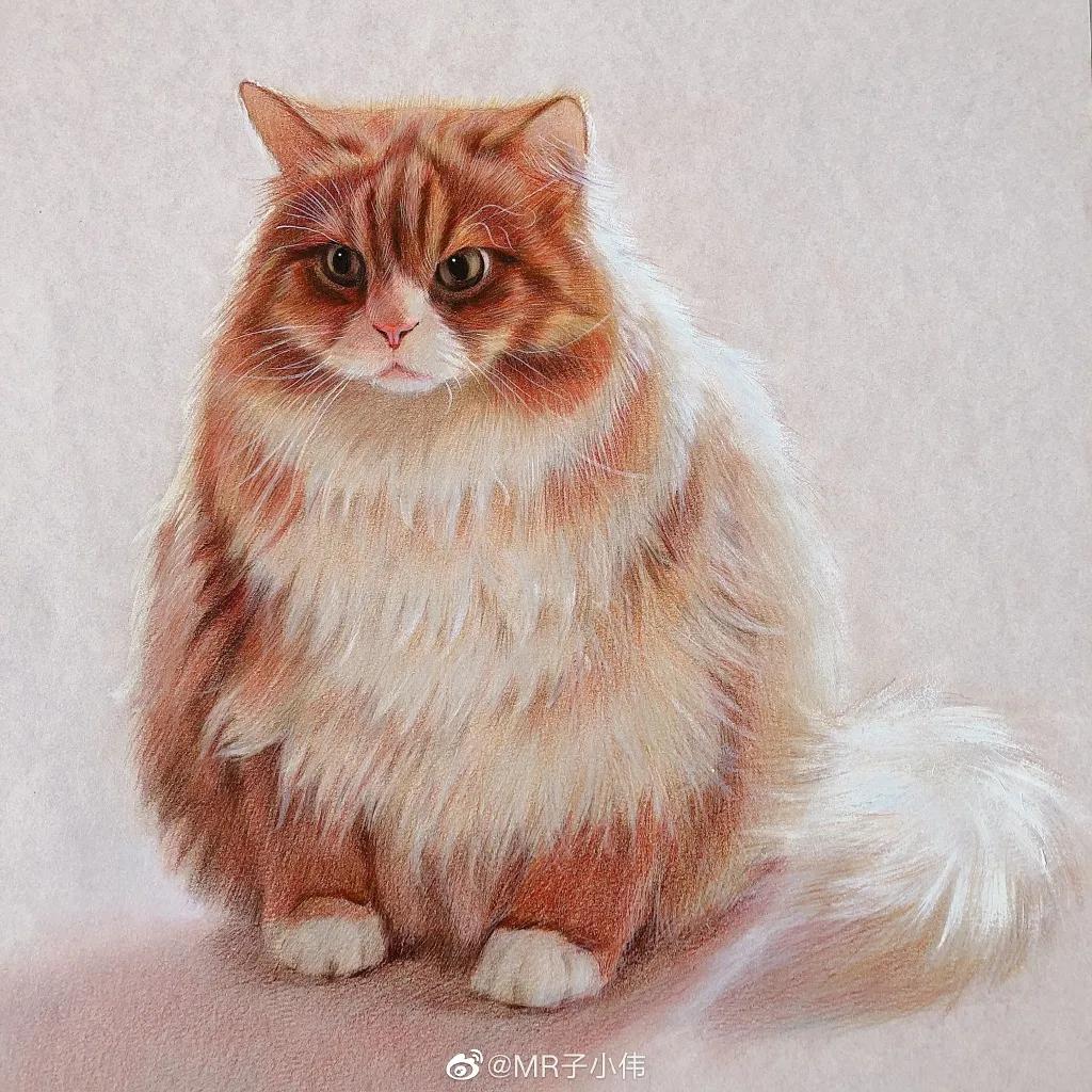 厉害了！他用一支铅笔把明星画了多个，如肖战、蔡徐坤、迪丽热巴