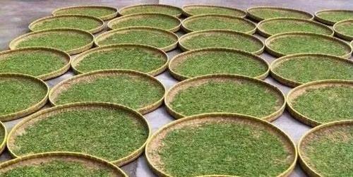 非物质文化遗产绿茶介绍,婺源绿茶制作工艺为国家级非遗