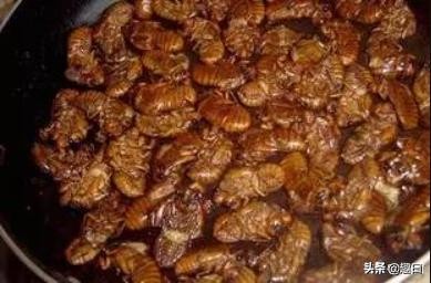 超美味口感,超级美食你敢去试试吗