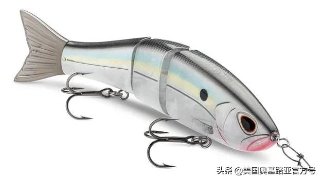 全国渔具展会2024时间表,全国渔具展2024