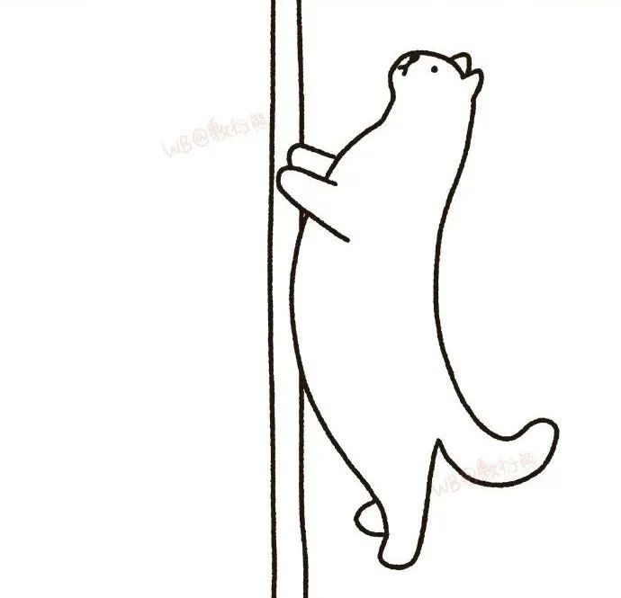 猫是只好猫，但被网友这么一弄…哈哈哈哈哈没脸见人了