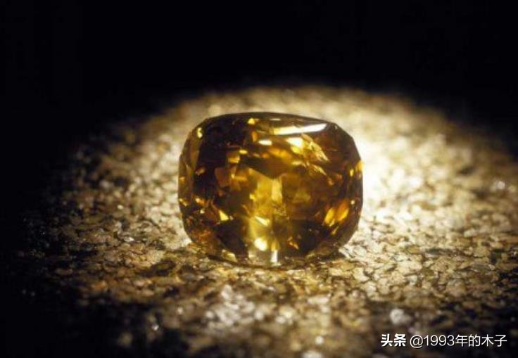 异装、纳妾、给宠物狗册封空军元帅,泰国国王究竟有多荒唐?