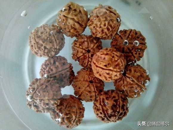 你知道金刚菩提手串怎么盘玩吗？你知道金刚菩提几瓣的最贵吗？