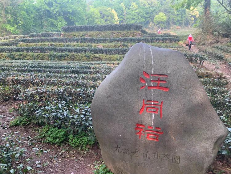 龙井村九溪十八涧徒步最佳路线图,九溪十八涧只有龙井村一个出口吗