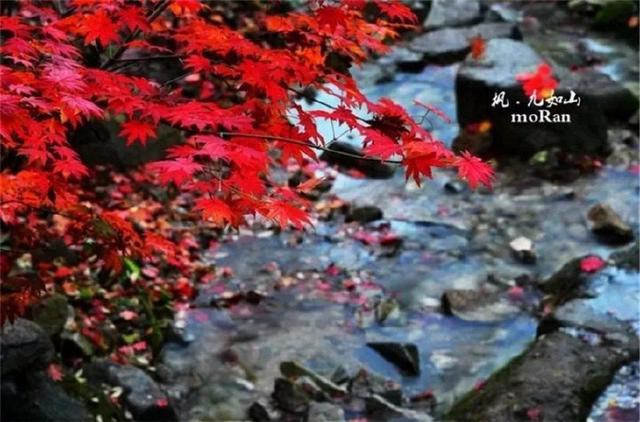 济南旅游景点推荐带孩子玩,济南旅游景点推荐适合带孩子