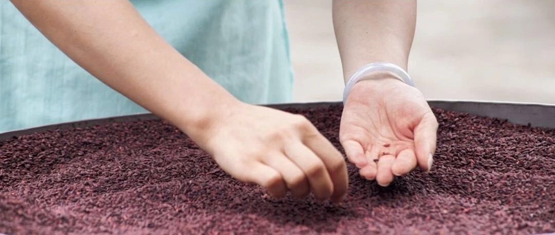 你喝过被火烤过的酒吗？酒中有客家女孩的5年青春斗|新匠人学院