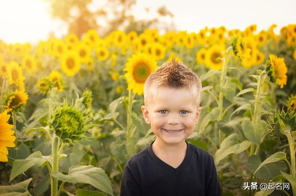 缺火缺水男孩名字大全2021属牛,牛年缺木缺火满分的男孩名字大全