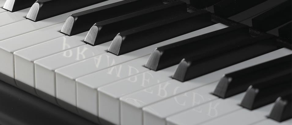 天津施坦威钢琴专卖,施坦威钢琴和斯坦威钢琴