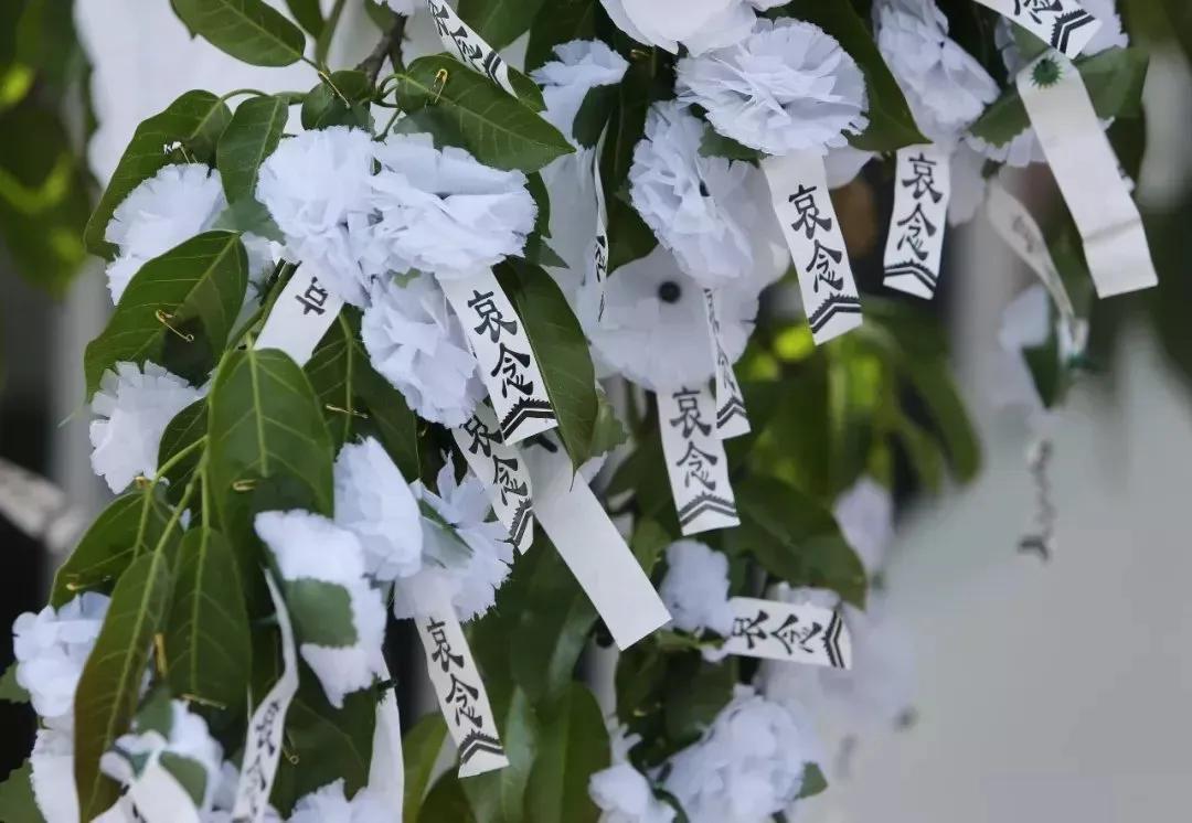 凉山火灾为什么牺牲那么多人,3月30日四川凉山火灾牺牲多少人