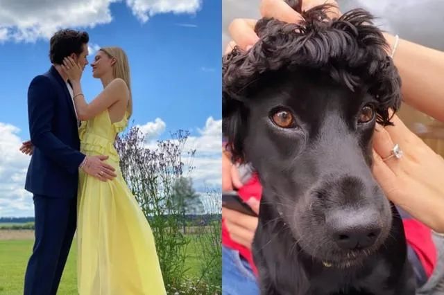 贝克汉姆和贝嫂相爱原因,贝克汉姆贝嫂身家