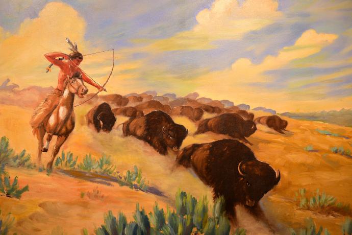 美国野生野牛,美国猎野牛