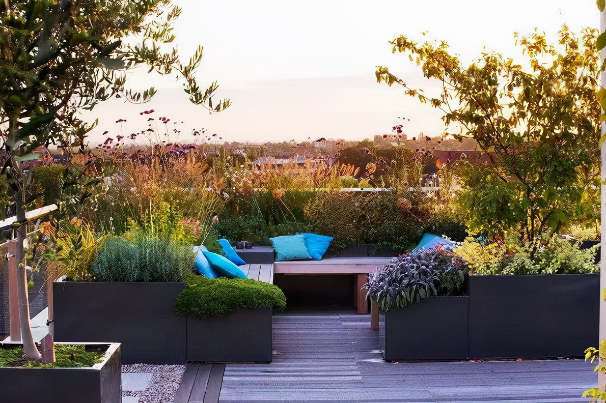 菜地积水最佳排水方法,庭院菜地排水补救方法